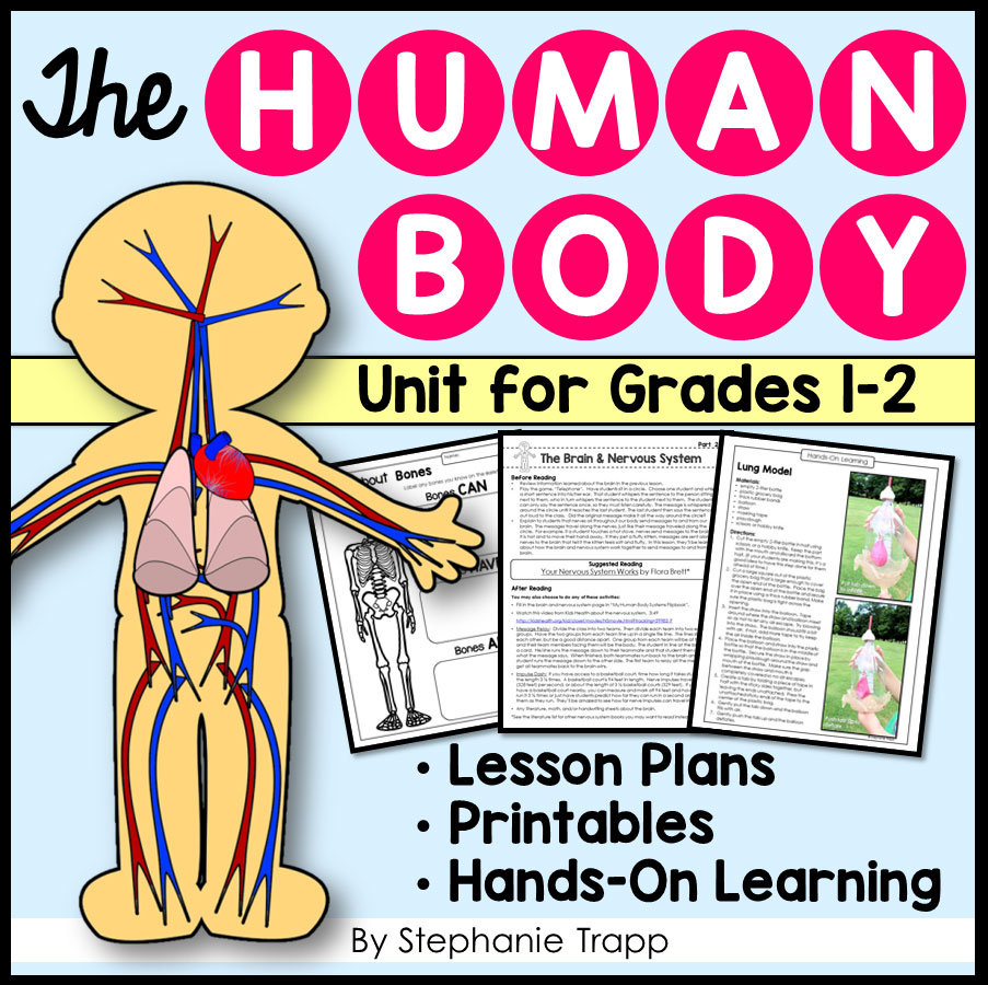 Everything you need to teach the human body to young learners.  Includes detailed lesson plans, experiments, cross-curricular activities, art, and much more!