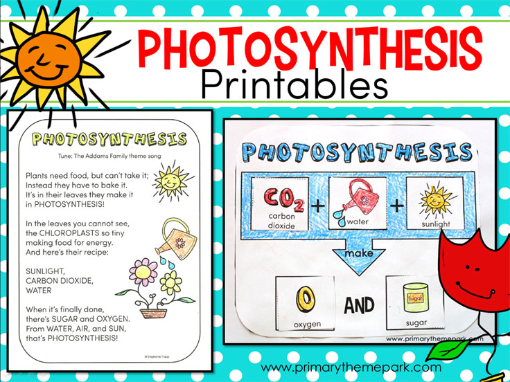 Photosynthesis for Kids: Activities and Printables for Young Learners