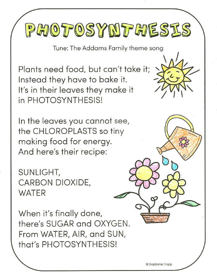 Photosynthesis: Science Lesson
