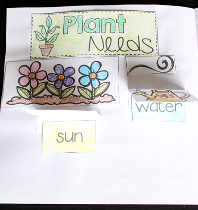 Plant Printables for a Plant Unit