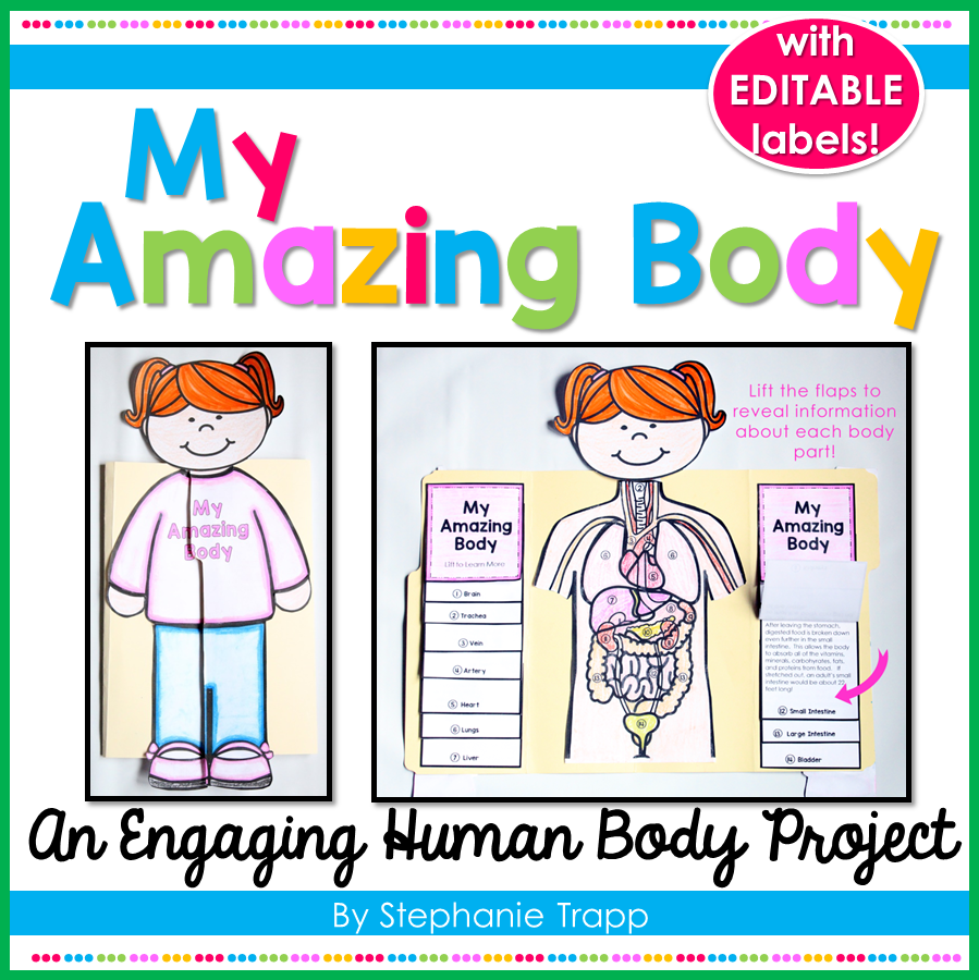 Human Body Activities for Kids