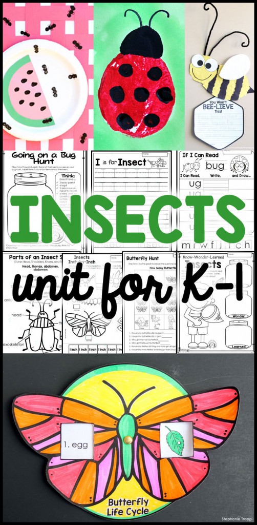 Cross-curricular insect activities in a week long unit for K-1. Detailed daily lesson plans cover science, math, literacy, handwriting, art and more!