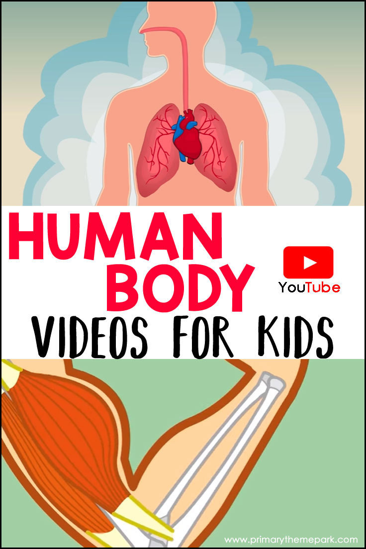 Human Body Videos for Kids found on YouTube that are perfect to incorporate into your human body unit.