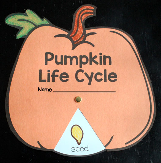 Pumpkin Life Cycle Wheel :: Pumpkin Unit for Kindergarten and First Grade