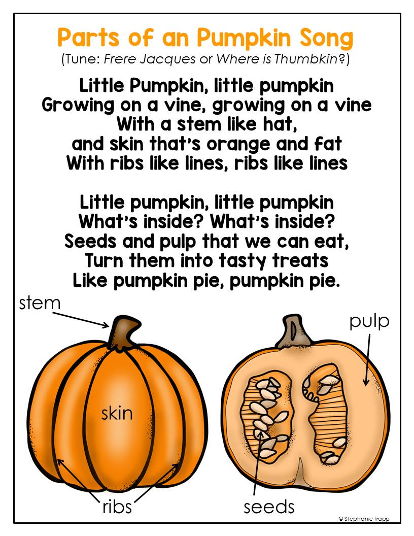 Parts of a Pumpkin Song