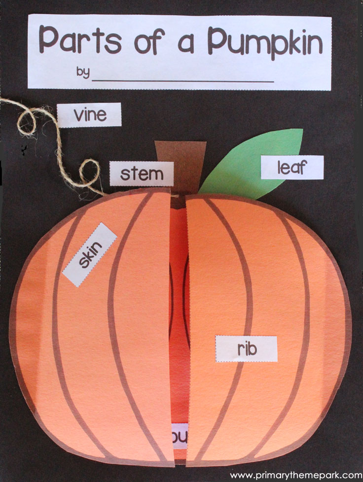 Parts Of A Pumpkin Free Printable Printable Templates