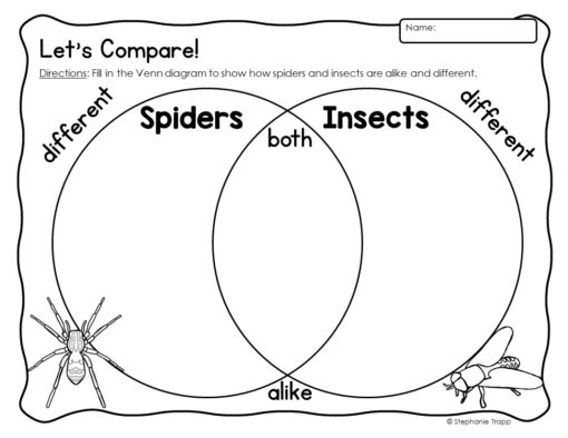 Spider Unit First Grade | Spider Unit 1st Grade | Spider Unit for First Grade