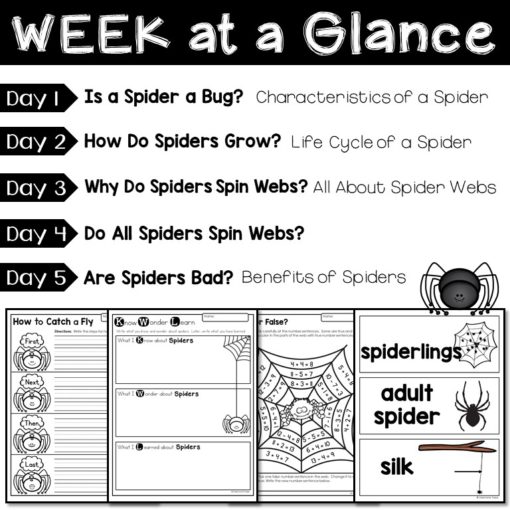 Spider Unit First Grade | Spider Unit 1st Grade | Spider Unit for First Grade