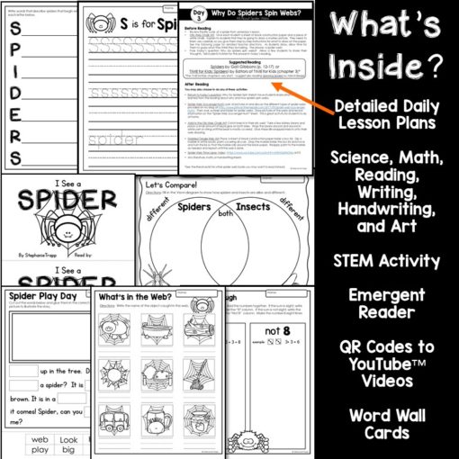 Spiders Unit for Kindergarten and First Grade | Spider Unit 1st Grade | Spider Activities for Kids