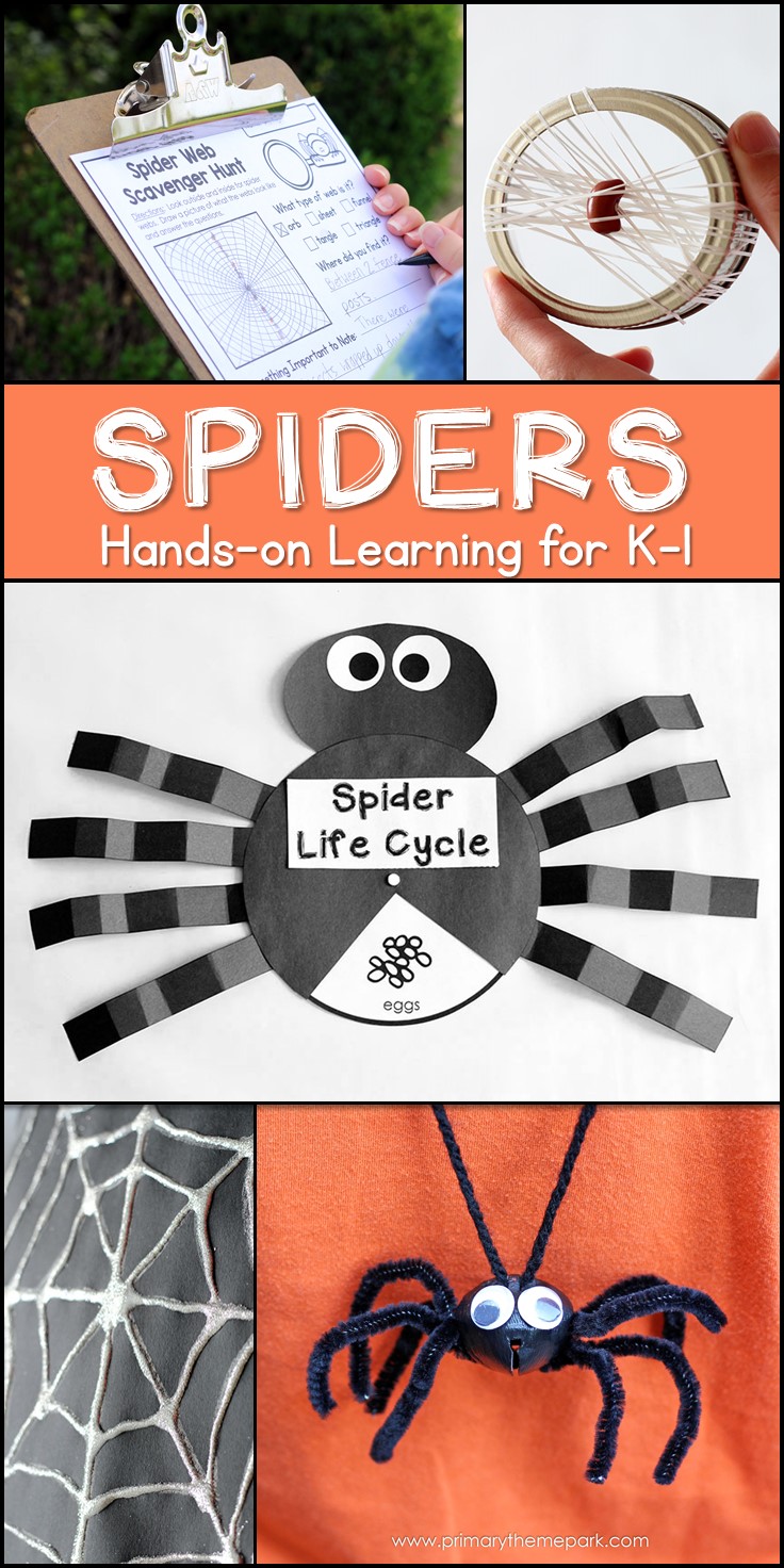 Spider Unit for Kindergarten and First Grade - Primary Theme Park