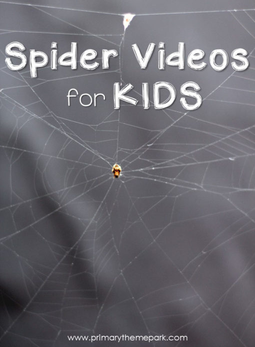 Spider Videos for Kids | Spider Activities | Spider Unit