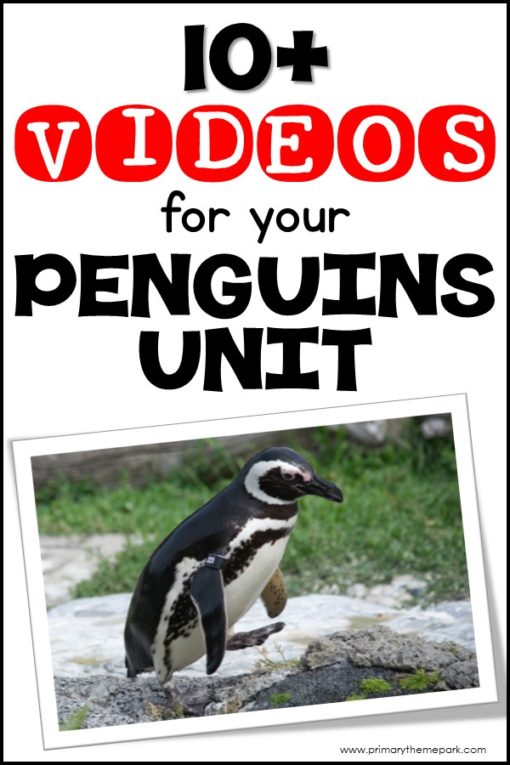 Penguin Videos for Kindergarten and First grade: Over 10 penguin videos for kids that are a perfect complement to a penguin unit study. #penguins #penguinkids #scienceforkids