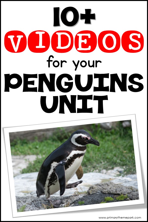 Penguin Videos for Kindergarten and First Grade - Primary Theme Park