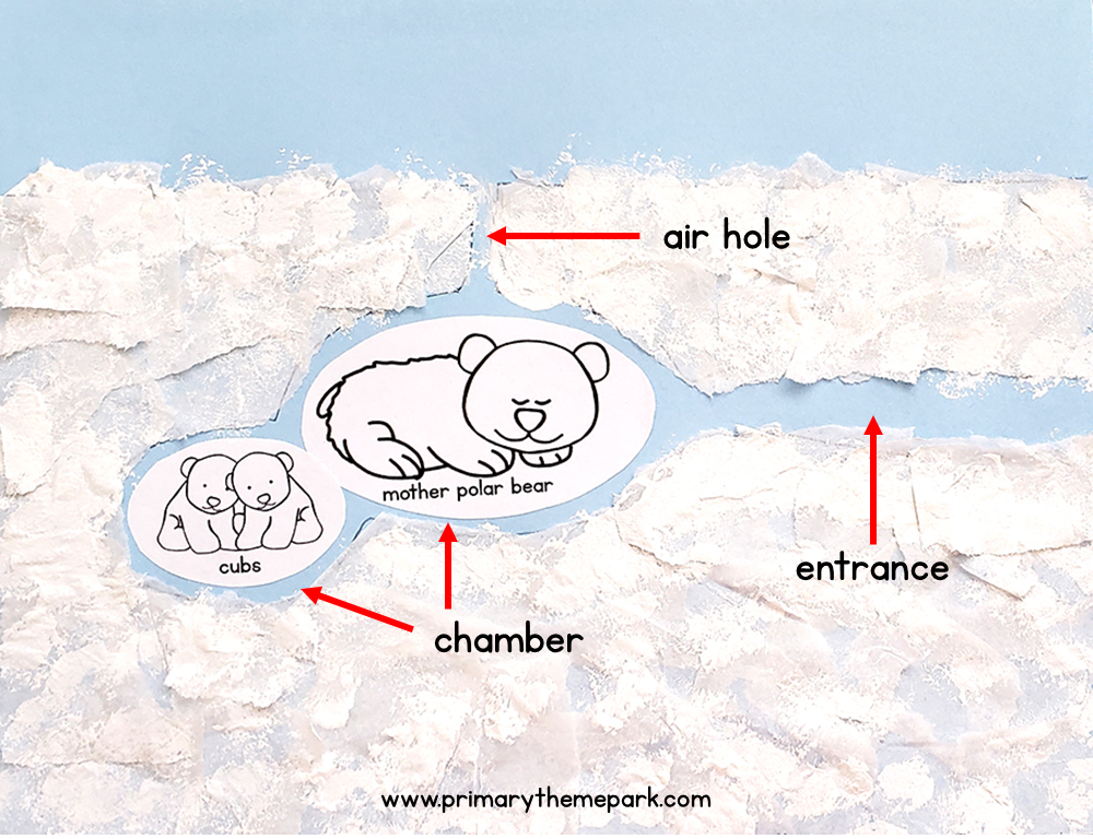 Polar bear den diagram