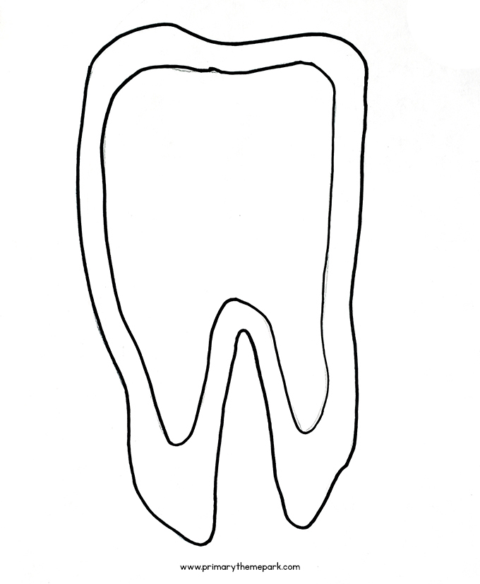 types of teeth diagram for children