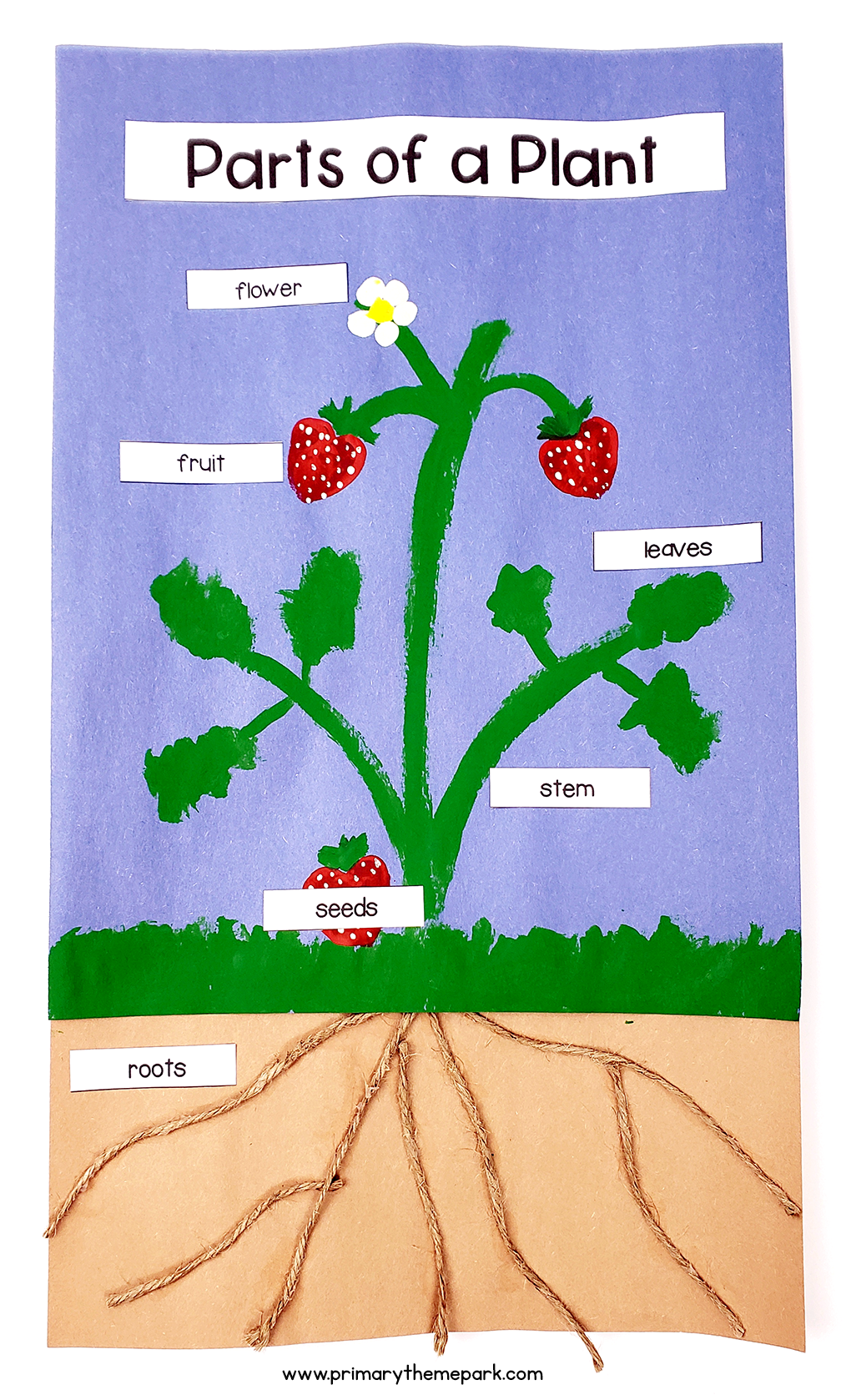 This fun parts of a plant craft uses a strawberry plant to show all six main parts of a plant.  