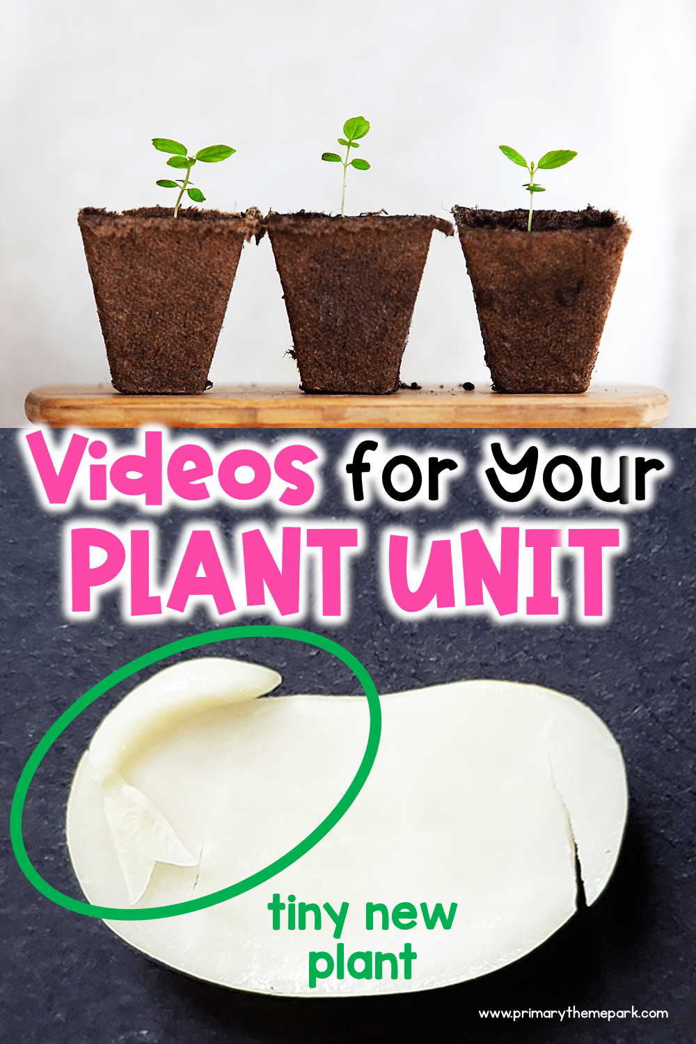 Plant Videos for Kids