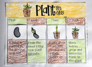 Plants Printables - Primary Theme Park