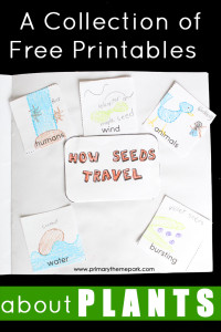 Collection of free plants printables for kids