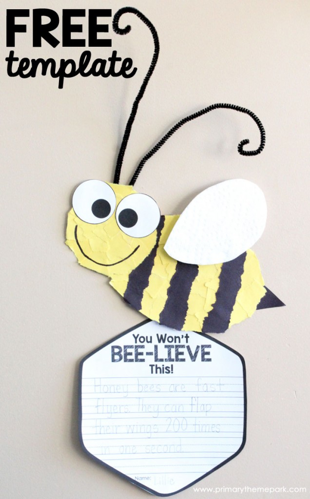 bee-craft-template-primary-theme-park