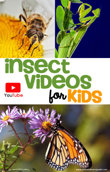 A collection of insect videos for kids that are perfect for your bug unit!