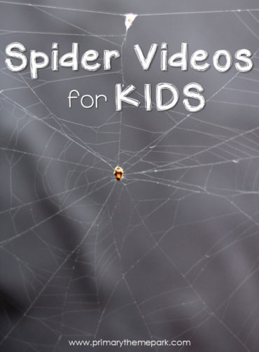 Spider Videos for Kids - Primary Theme Park