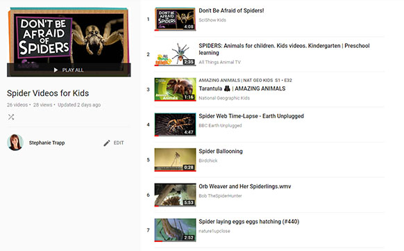 Spider Videos for Kids - Primary Theme Park