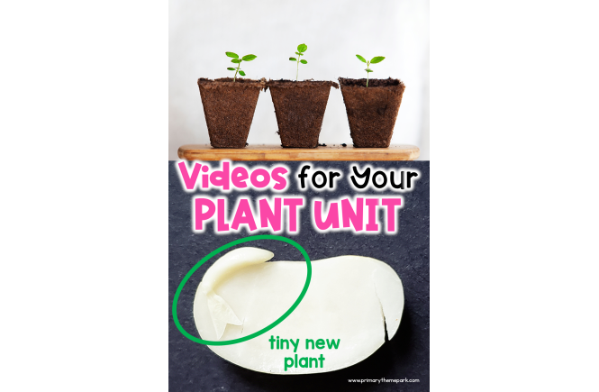 Plant Videos for Kids