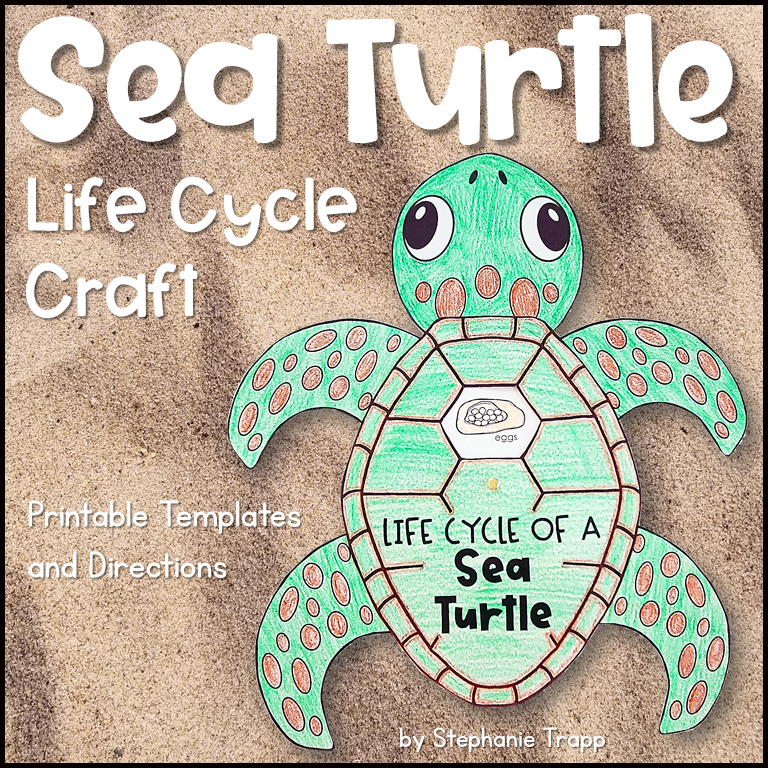 Sea Turtle Life Cycle Craft for Kindergarten and First Grade